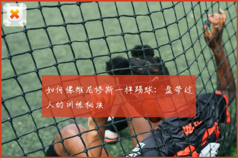 篮球明星传记：荣耀背后的汗水与泪水